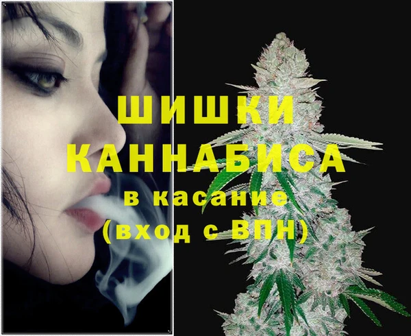 амф Горнозаводск