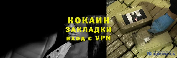 спиды Гусев