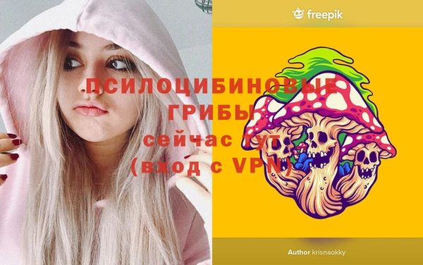 амф Горнозаводск