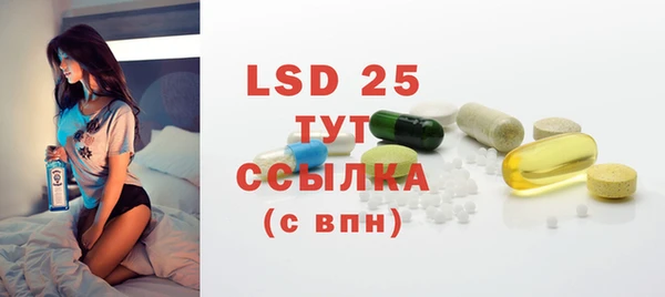 спиды Гусев