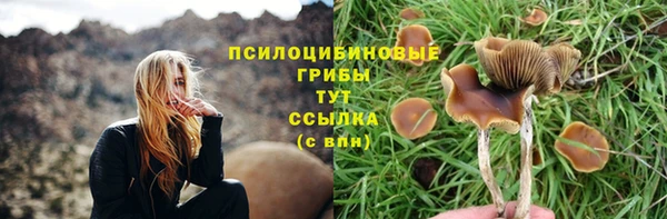 спиды Гусев